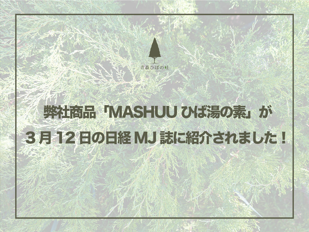 弊社商品「MASHUU ひば湯の素」が3月12日の日経MJ誌に紹介されました!