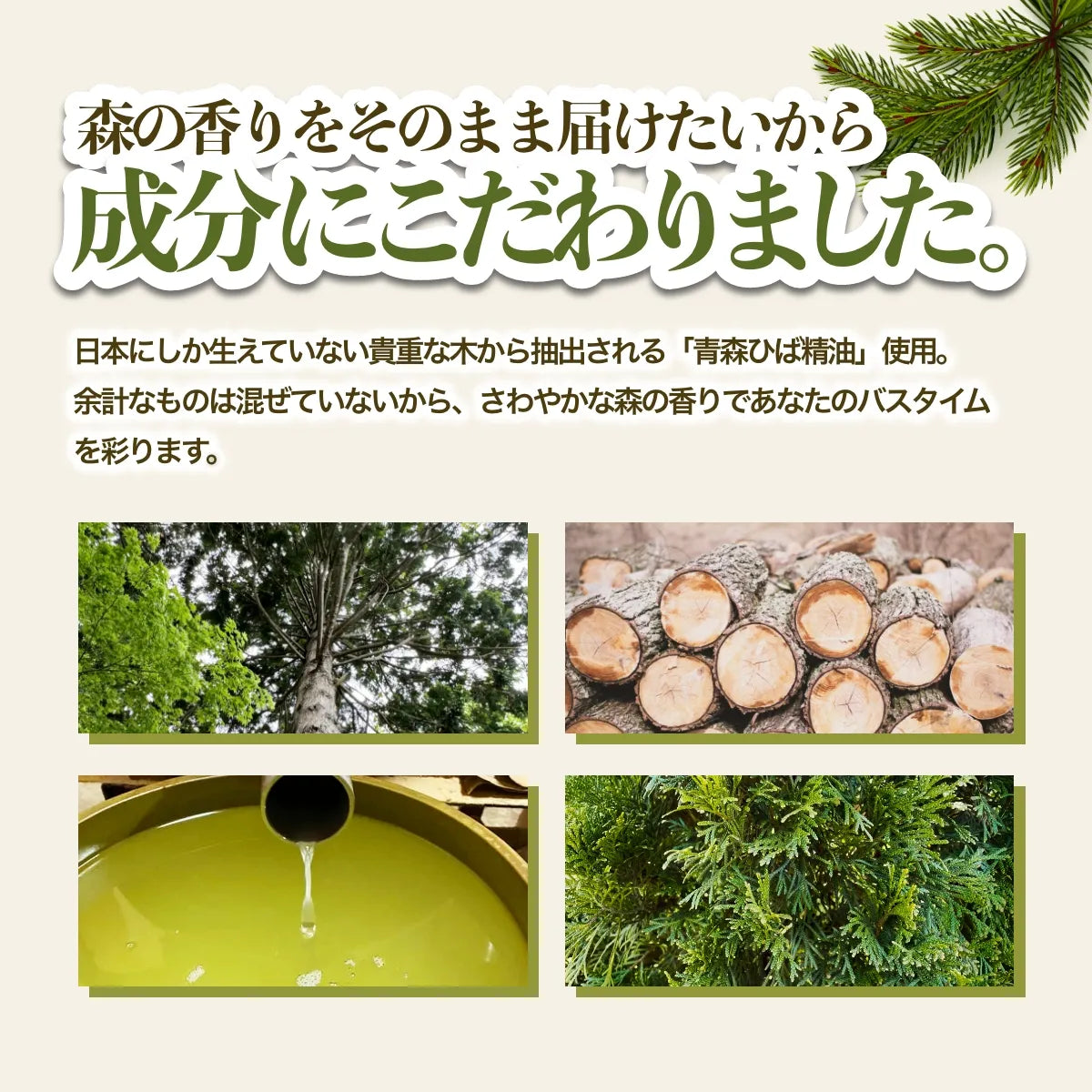 MASHUU ヒバユノモト – 青森ひばの杜
