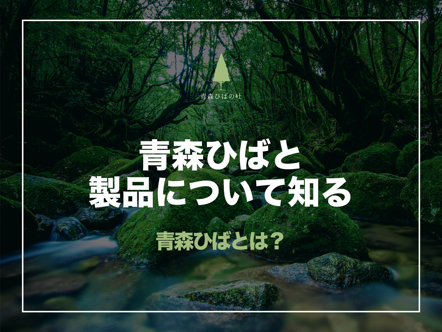 青森ひば精油と加工について知る