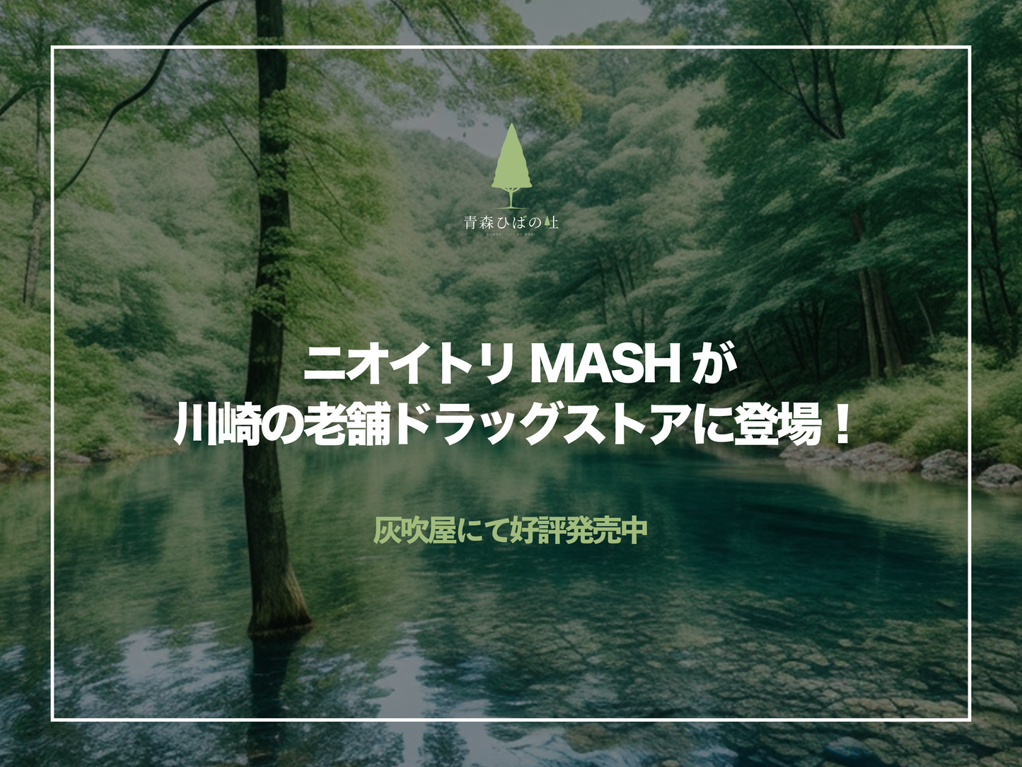 ニオイトリMASHが老舗ドラッグストアに登場！