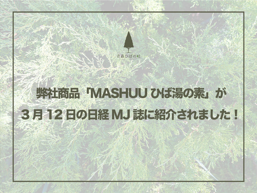 弊社商品「MASHUU ひば湯の素」が3月12日の日経MJ誌に紹介されました！