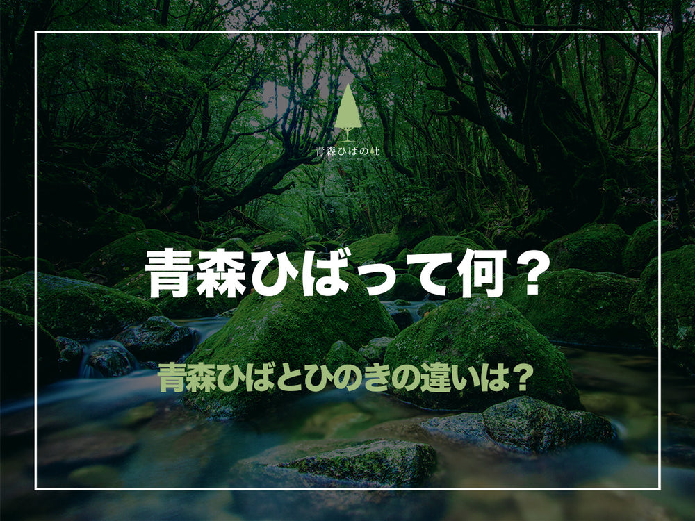 青森ひばについて知る-ヒノキとの違いは？