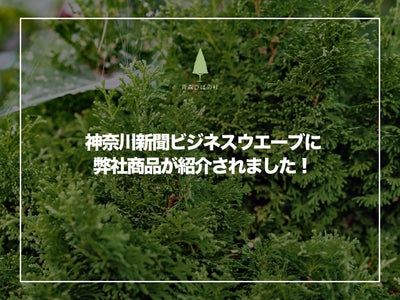 2025年03月14日発行の神奈川新聞ビジネスウエーブに弊社商品が紹介されました！