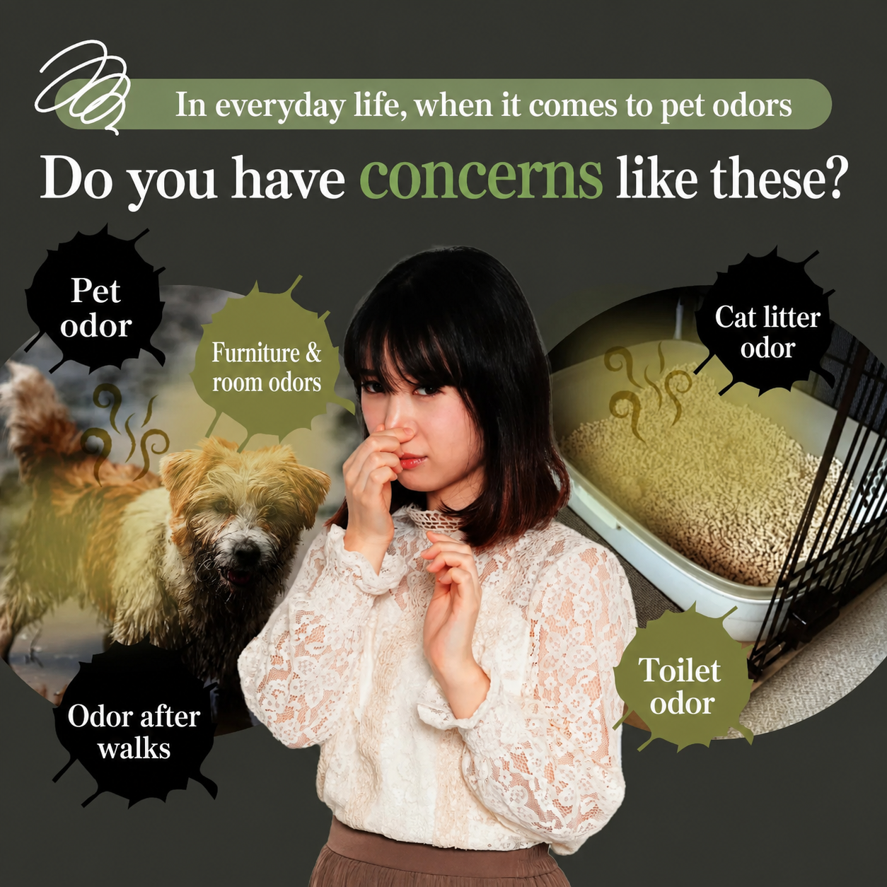 [EN]Mashuu for pet product image2