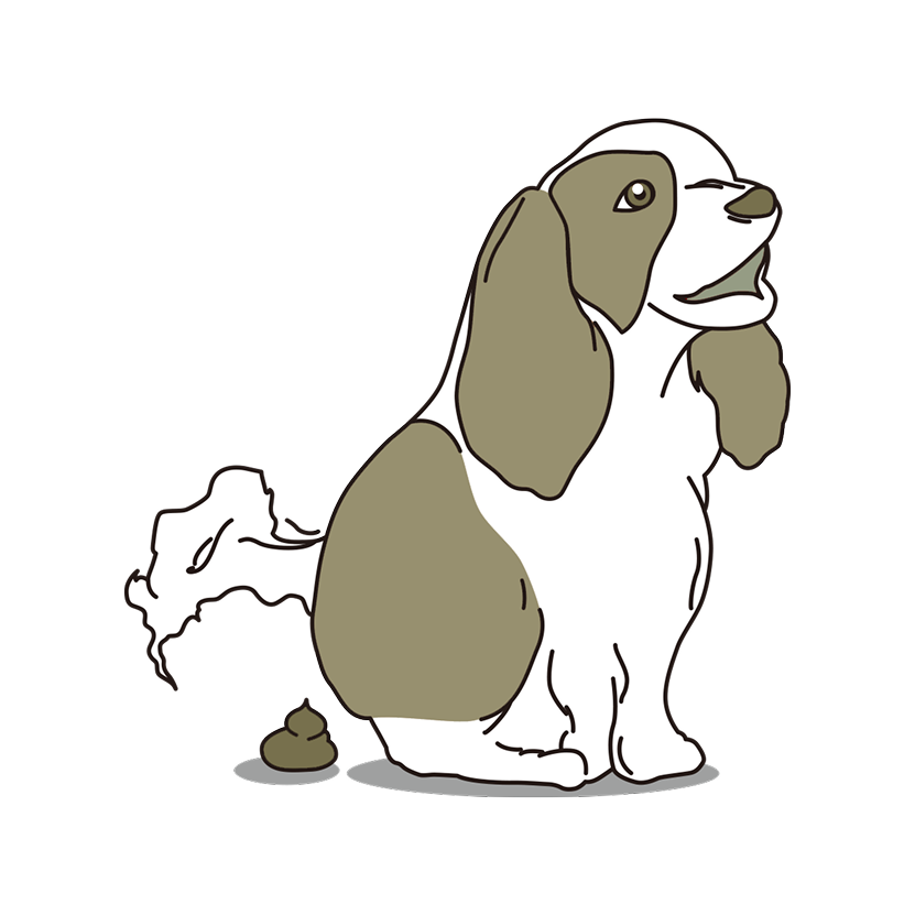 ニオイで困ったらイラスト