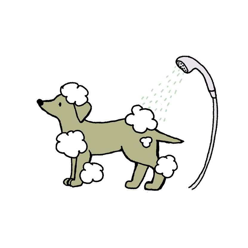 ニオイで困ったらイラスト